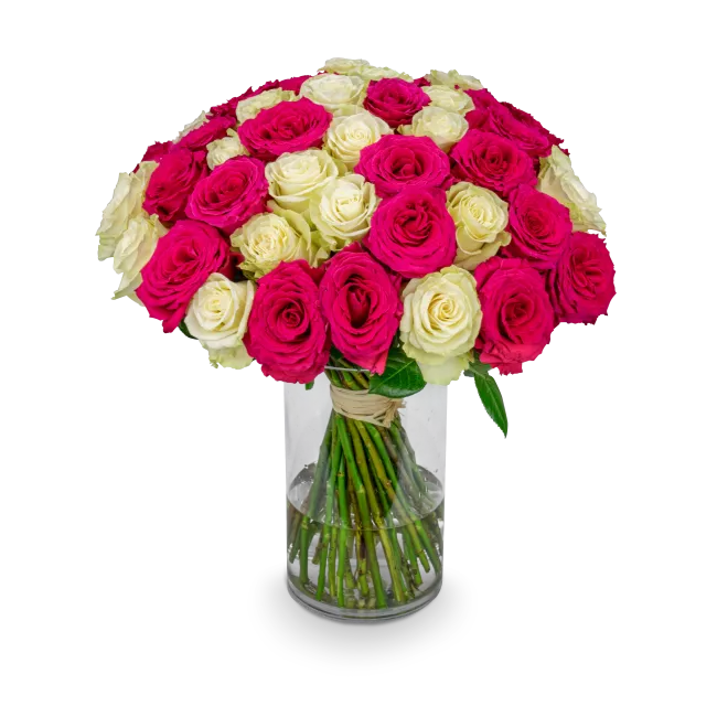 Bouquet of pink and white roses